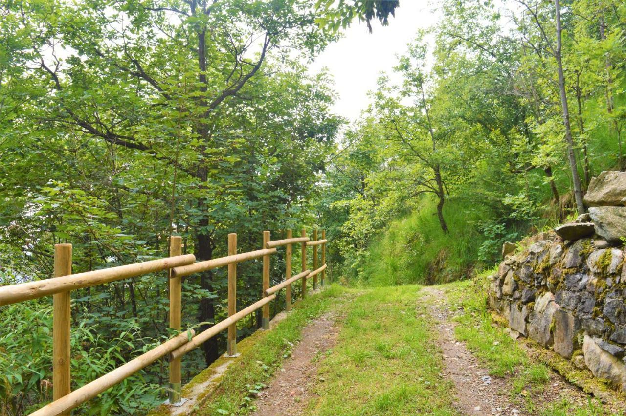 Gold Cave Casa Vacanze Relax Nel Bosco Appartamenti Pessinetto Exteriér fotografie